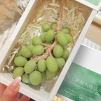 葡萄手工香皂